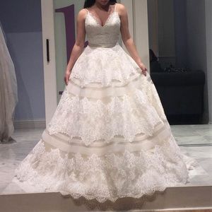 Wedding dress and veil